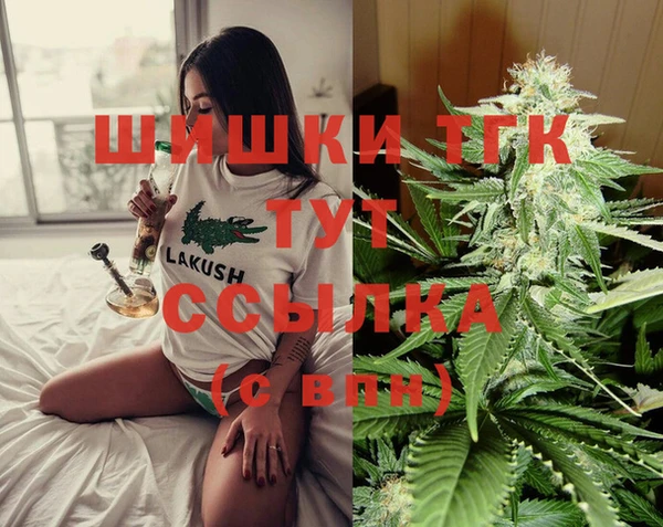 MESCALINE Каменка