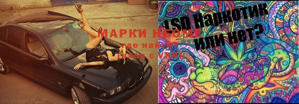 MESCALINE Каменка