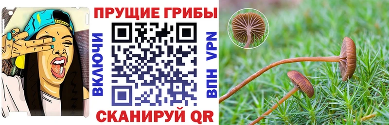 наркота Рязань Псилоцибиновые грибы мухоморы